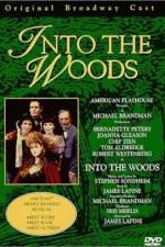 Watch Into the Woods Myflixer