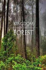 Watch National Geographic Kingdom of the Forest Myflixer