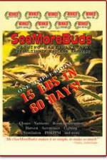 Watch SeeMoreBuds: Vol. 1 Myflixer