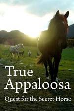 Watch True Appaloosa Myflixer
