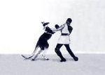 Watch Cangurul boxer Myflixer