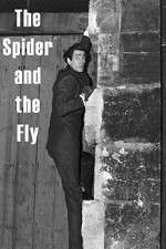 Watch The Spider and the Fly Myflixer