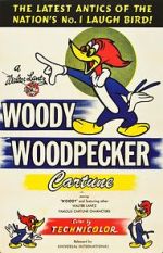 Watch The Woody Woodpecker Polka Myflixer