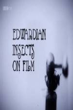 Watch Edwardian Insects on Film Myflixer