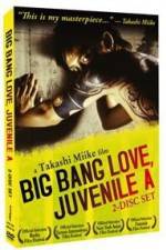 Watch Big Bang Love Juvenile A Myflixer