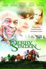 Watch The Derby Stallion Myflixer