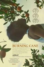 Watch Burning Cane Myflixer