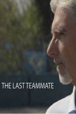 Watch Senna The Last Teammate Myflixer