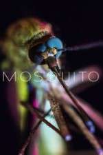 Watch Mosquito Myflixer