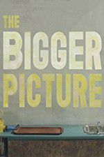 Watch The Bigger Picture Myflixer