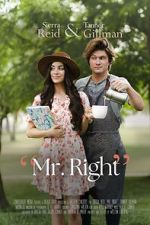 Watch Mr. Right Myflixer