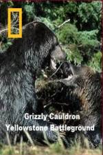 Watch National Geographic Grizzly Cauldron Myflixer