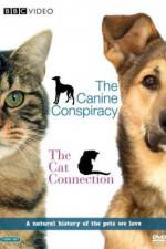 Watch The Cat Connection Myflixer