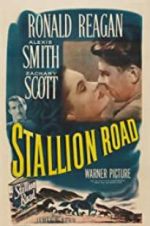 Watch Stallion Road Myflixer
