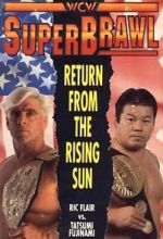 Watch WCW SuperBrawl I Myflixer