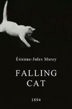 Watch Falling Cat Myflixer