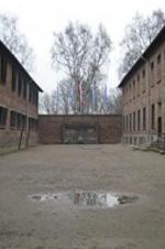 Watch Made in Auschwitz: The Untold Story of Block 10 Myflixer