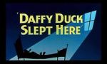 Watch Daffy Duck Slept Here (Short 1948) Myflixer