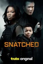 Watch Snatched Myflixer