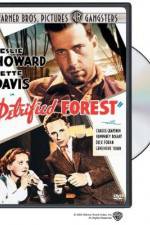 Watch The Petrified Forest Myflixer
