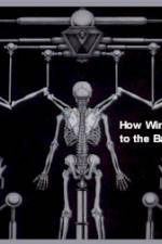 Watch How Wings Are Attached to the Backs of Angels Myflixer