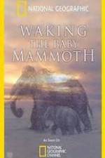 Watch Waking the Baby Mammoth Myflixer