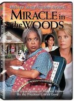 Watch Miracle in the Woods Myflixer