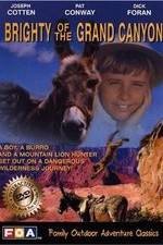 Watch Brighty of the Grand Canyon Myflixer