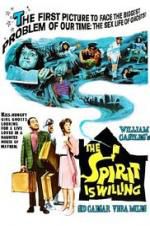 Watch The Spirit Is Willing Myflixer