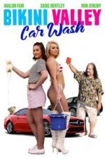 Watch Bikini Valley Car Wash Myflixer