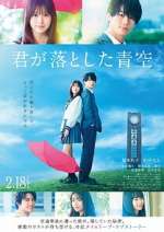 Watch The Blue Skies at Your Feet Myflixer