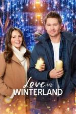 Watch Love in Winterland Myflixer