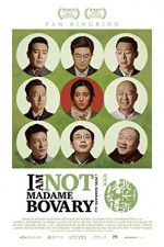 Watch I Am Not Madame Bovary Myflixer