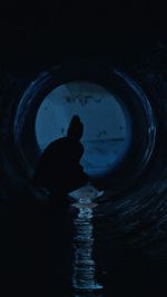Watch Gwafi (Short 2022) Myflixer