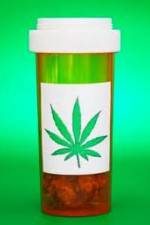 Watch Medicinal Cannabis and its Impact on Human Health Myflixer
