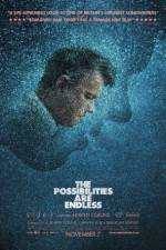 Watch The Possibilities Are Endless Myflixer