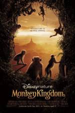Watch Monkey Kingdom Myflixer