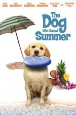 Watch The Dog Who Saved Summer Myflixer