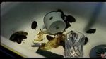 Watch Coup de lune (TV Short 2000) Myflixer