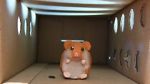 Watch Hamster Hell (Short 2012) Myflixer