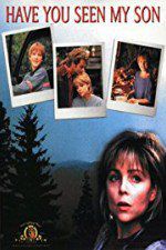 Watch Have You Seen My Son Myflixer