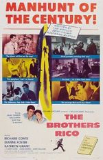 Watch The Brothers Rico Myflixer