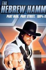 Watch The Hebrew Hammer Myflixer