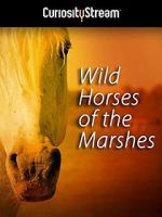 Watch Wild Horses of the Marshes Myflixer