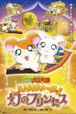 Watch Hamtaro: The Captive Princess Myflixer
