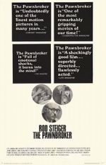 Watch The Pawnbroker Myflixer