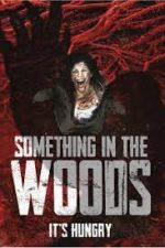 Watch Something in the Woods Myflixer