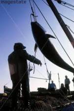 Watch National Geographic: Cheating Death Tuna Cowboys Myflixer