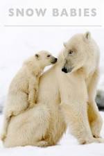 Watch Snow Babies Myflixer