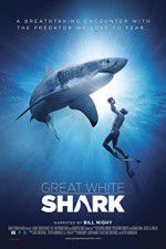 Watch Great White Shark Myflixer